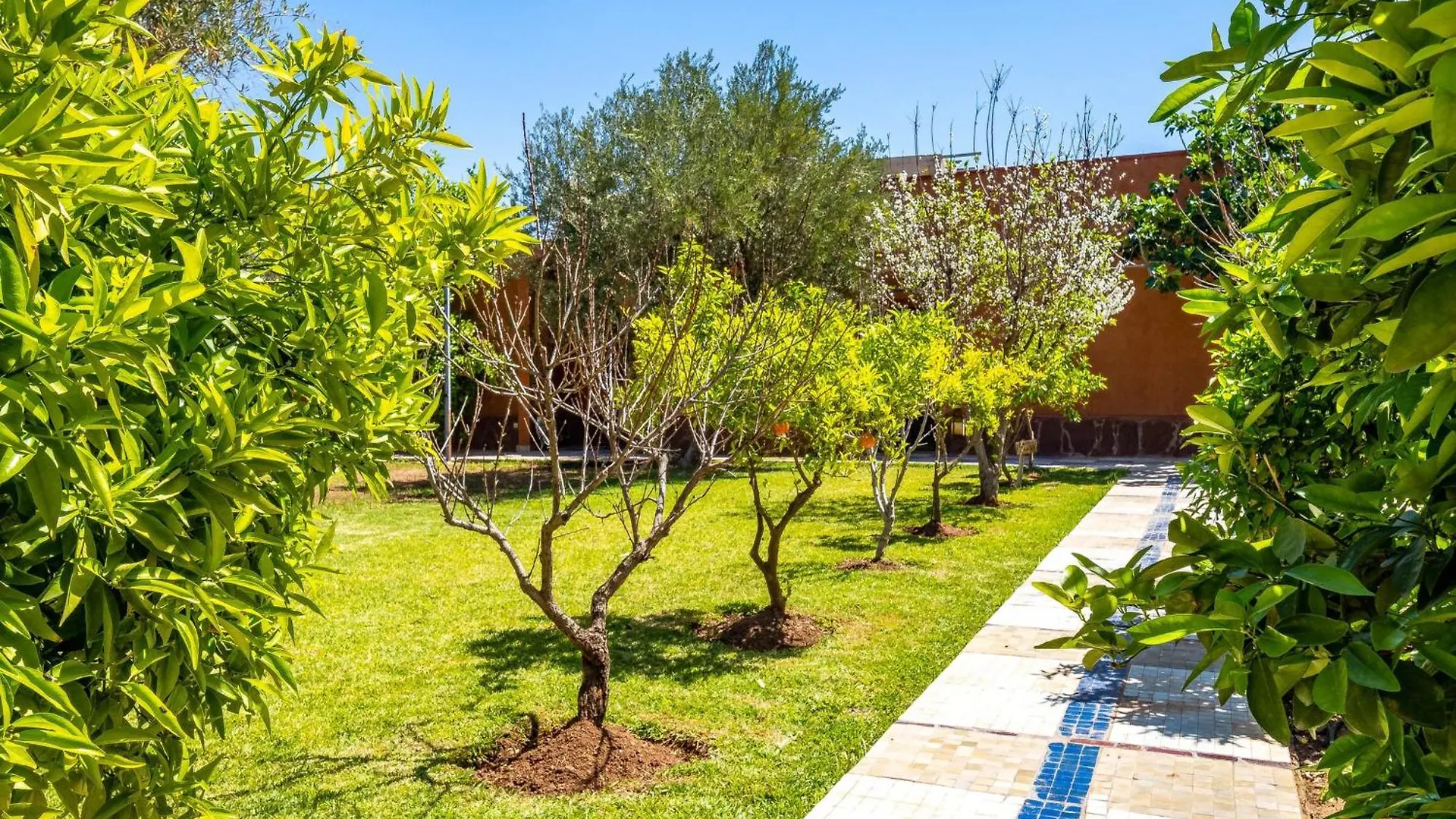 Riad Citronnelle Marrakesh