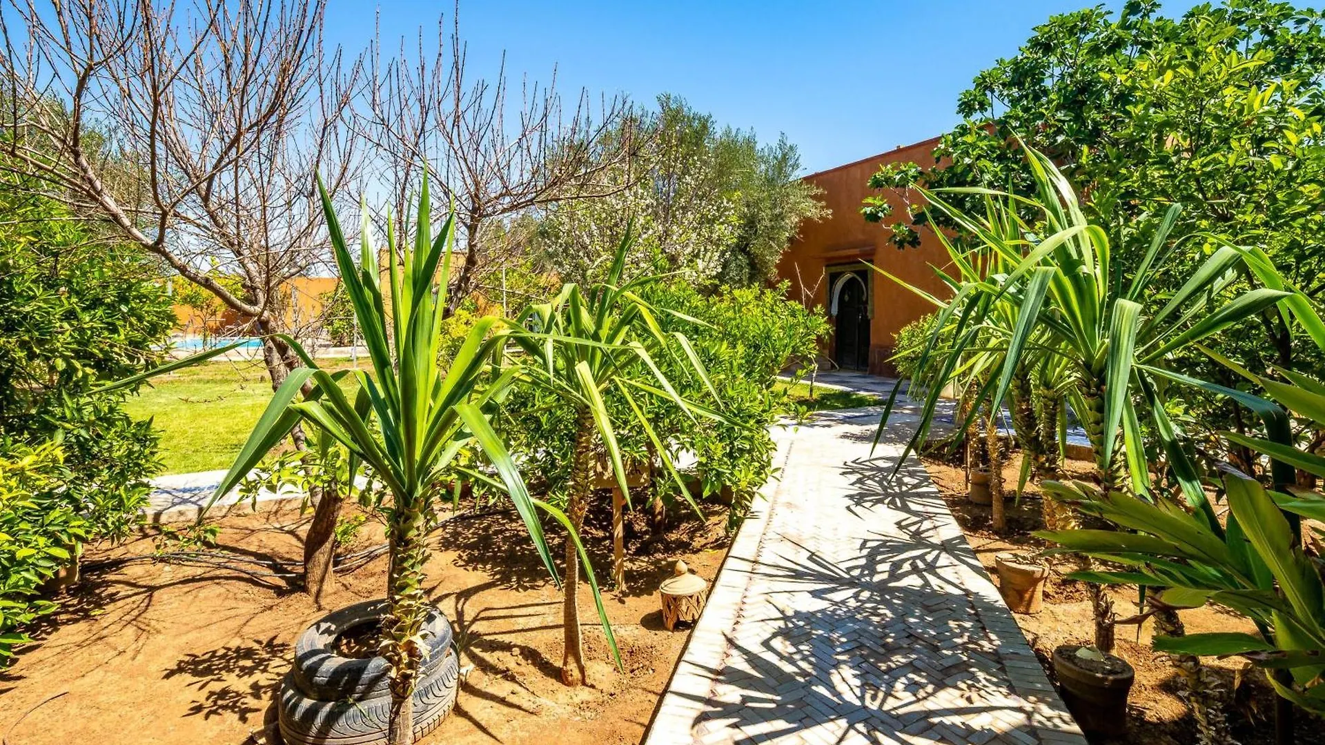 Riad Citronnelle Marrakesz